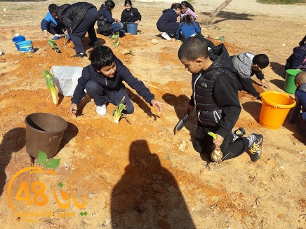 zr3 7san 3arafa (17).jpg